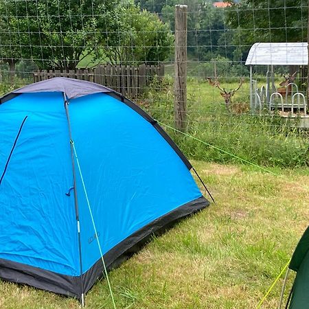Camping F Selbstversorger Gut Jaegerhof Adults Only Semriach ภายนอก รูปภาพ