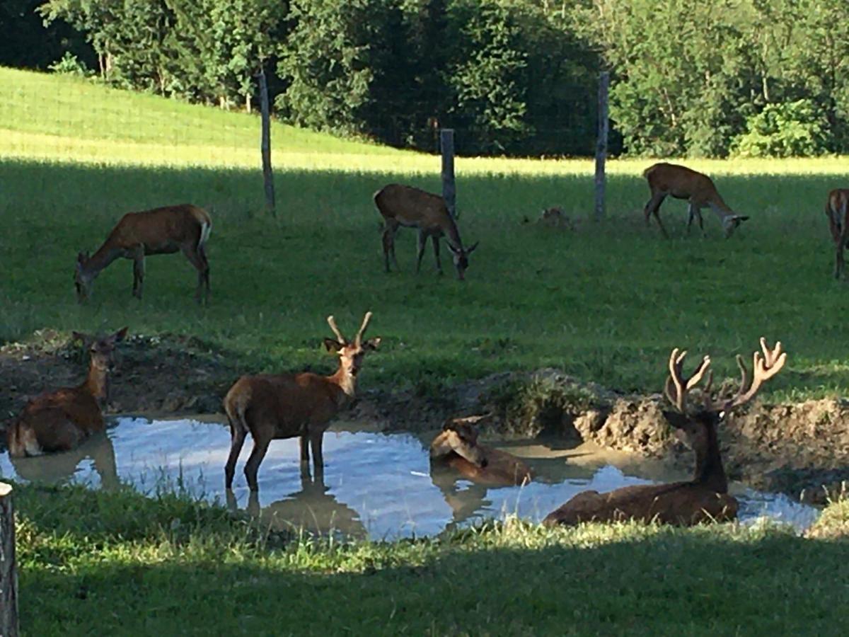 Camping F Selbstversorger Gut Jagerhof Semriach ภายนอก รูปภาพ